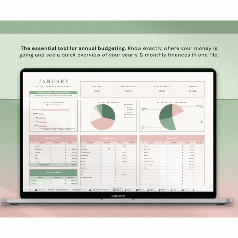 Annual & Monthly Budget Sheet
