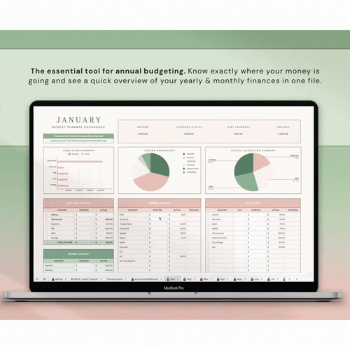 Annual & Monthly Budget Sheet